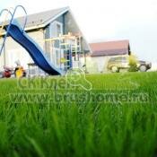 Обустройство территории- газон жилого дома в посёлке Кедровое.