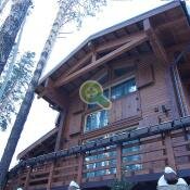 Клееный брус из кедра